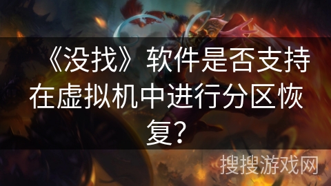 《没找》软件是否支持在虚拟机中进行分区恢复？