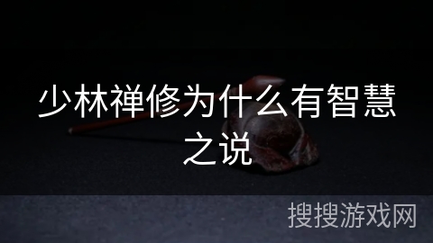 少林禅修为什么有智慧之说