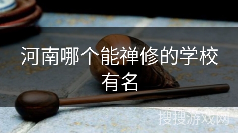 河南哪个能禅修的学校有名
