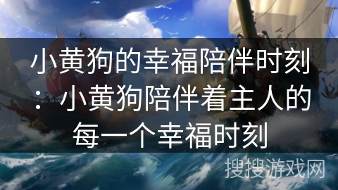 小黄狗的幸福陪伴时刻：小黄狗陪伴着主人的每一个幸福时刻