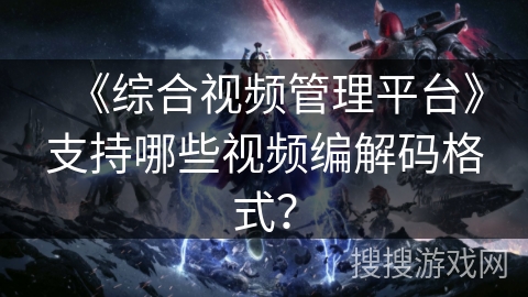 《综合视频管理平台》支持哪些视频编解码格式？