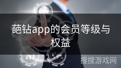 葩钻app的会员等级与权益