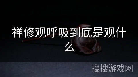 禅修观呼吸到底是观什么