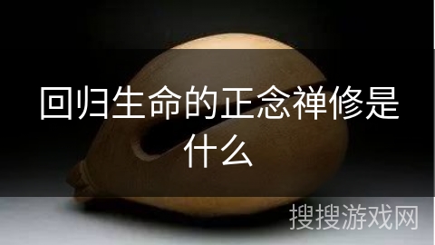 回归生命的正念禅修是什么