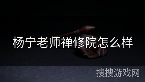 杨宁老师禅修院怎么样