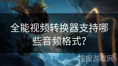 全能视频转换器支持哪些音频格式？