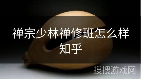 禅宗少林禅修班怎么样知乎