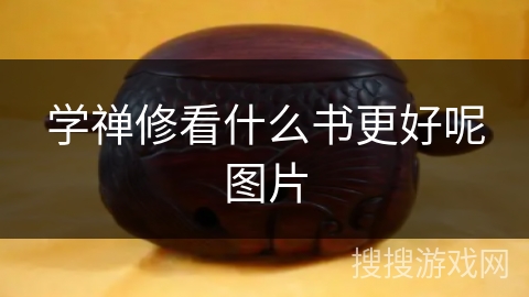 学禅修看什么书更好呢图片