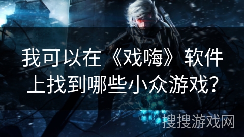 我可以在《戏嗨》软件上找到哪些小众游戏？