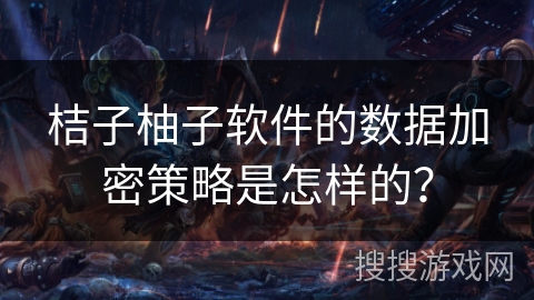 桔子柚子软件的数据加密策略是怎样的？