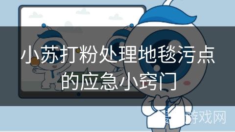 小苏打粉处理地毯污点的应急小窍门