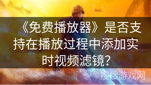 《免费播放器》是否支持在播放过程中添加实时视频滤镜？