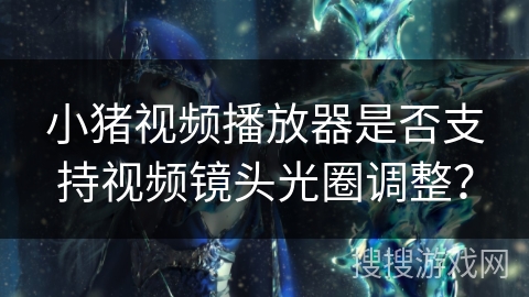 小猪视频播放器是否支持视频镜头光圈调整？