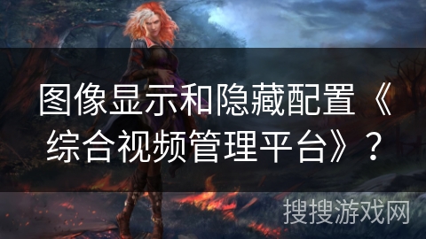 图像显示和隐藏配置《综合视频管理平台》？
