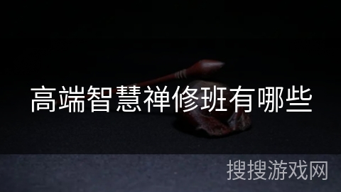 高端智慧禅修班有哪些