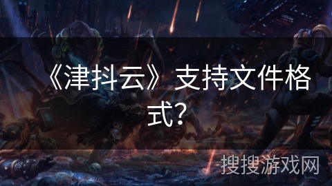 《津抖云》支持文件格式？