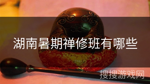 湖南暑期禅修班有哪些