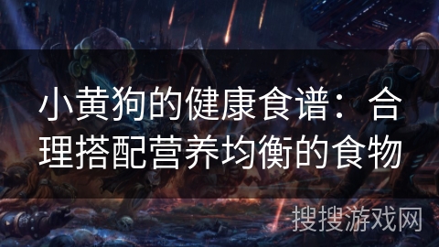 小黄狗的健康食谱:合理搭配营养均衡的食物 小黄狗的健康食谱:合理搭配营养均衡的食物