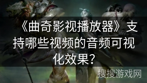 《曲奇影视播放器》支持哪些视频的音频可视化效果？