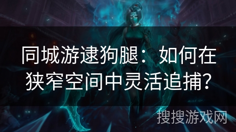 同城游逮狗腿：如何在狭窄空间中灵活追捕？