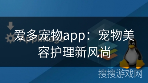 爱多宠物app：宠物美容护理新风尚