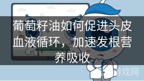 葡萄籽油如何促进头皮血液循环，加速发根营养吸收