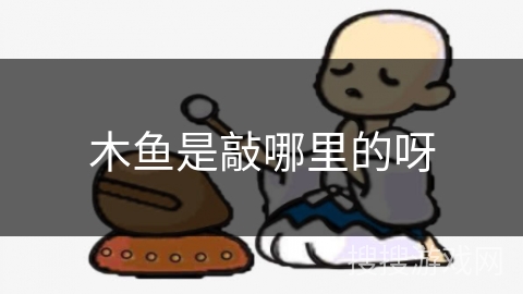 木鱼是敲哪里的呀