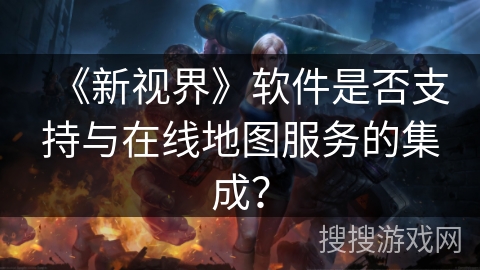 《新视界》软件是否支持与在线地图服务的集成？