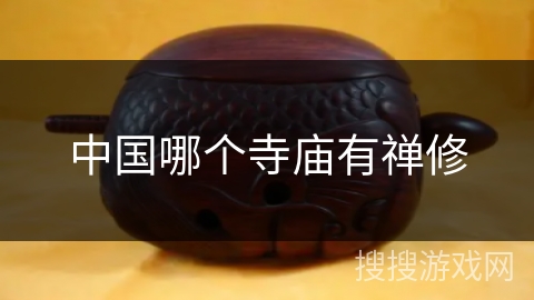 中国哪个寺庙有禅修