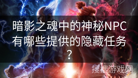暗影之魂中的神秘NPC有哪些提供的隐藏任务？