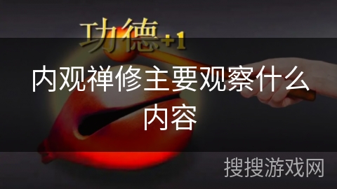 内观禅修主要观察什么内容