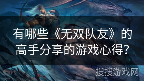 有哪些《无双队友》的高手分享的游戏心得？