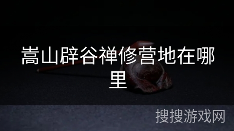 嵩山辟谷禅修营地在哪里