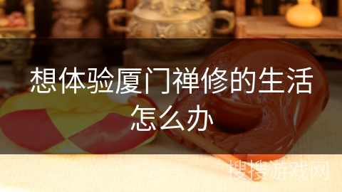 想体验厦门禅修的生活怎么办