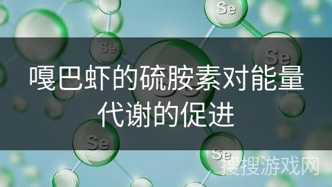 嘎巴虾的硫胺素对能量代谢的促进