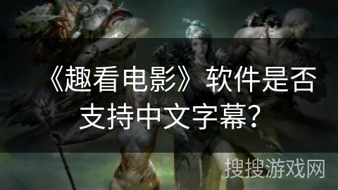 《趣看电影》软件是否支持中文字幕？