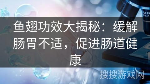 鱼翅功效大揭秘：缓解肠胃不适，促进肠道健康