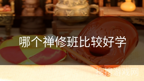 哪个禅修班比较好学