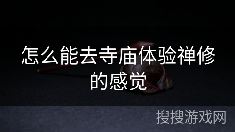 怎么能去寺庙体验禅修的感觉