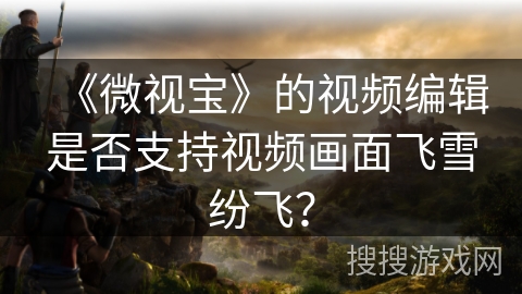 《微视宝》的视频编辑是否支持视频画面飞雪纷飞？