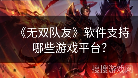 《无双队友》软件支持哪些游戏平台？