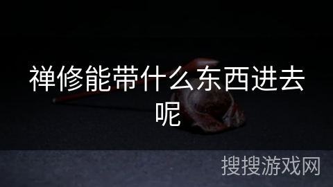 禅修能带什么东西进去呢