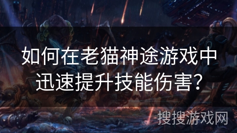 如何在老猫神途游戏中迅速提升技能伤害？