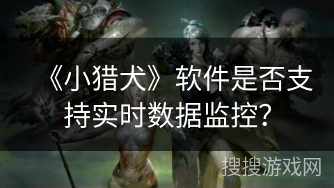 《小猎犬》软件是否支持实时数据监控？