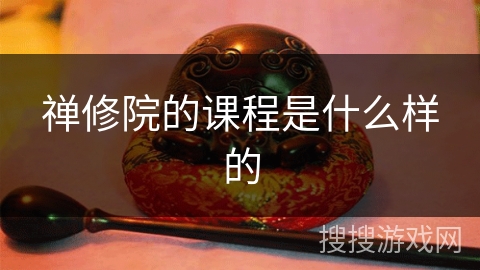 禅修院的课程是什么样的