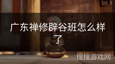 广东禅修辟谷班怎么样了