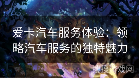 爱卡汽车服务体验：领略汽车服务的独特魅力