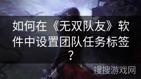 如何在《无双队友》软件中设置团队任务标签？