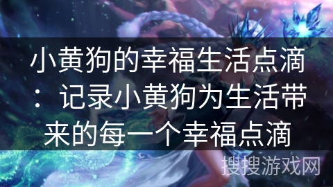 小黄狗的幸福生活点滴：记录小黄狗为生活带来的每一个幸福点滴