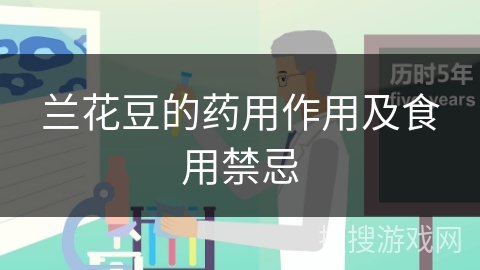 兰花豆的药用作用及食用禁忌